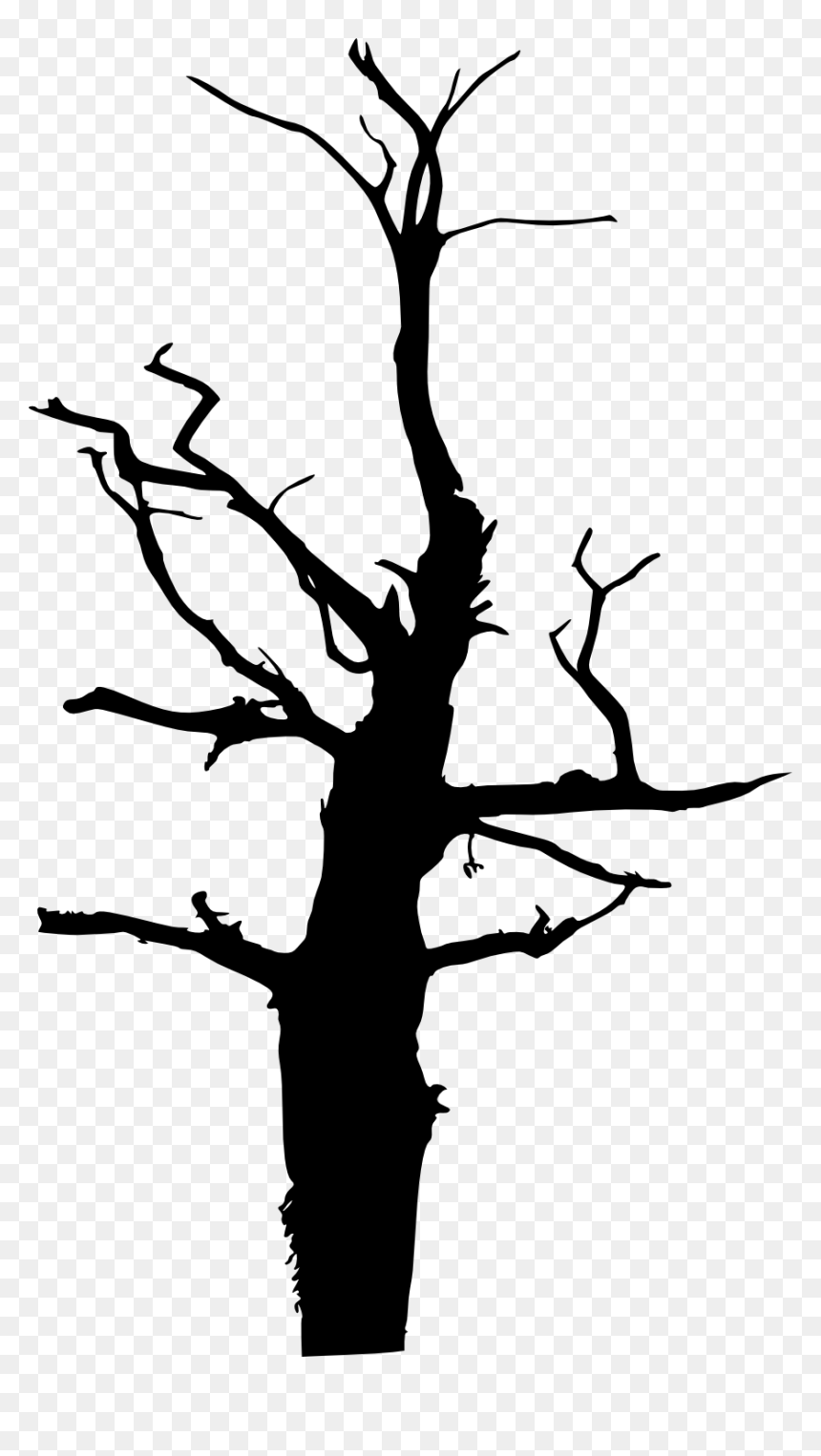 17 Dead Tree Silhouette - Silhouette, HD Png Download - dead tree png
