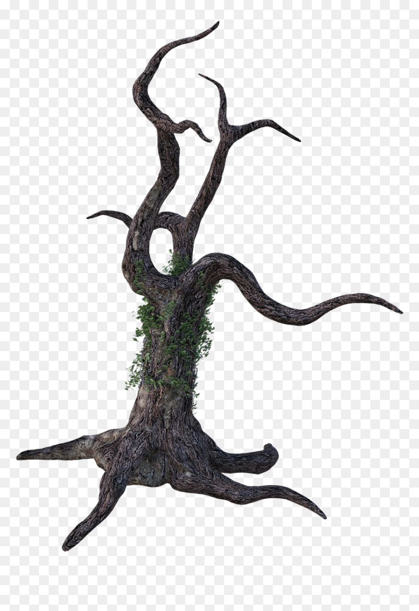 Bark, HD Png Download - dead tree png