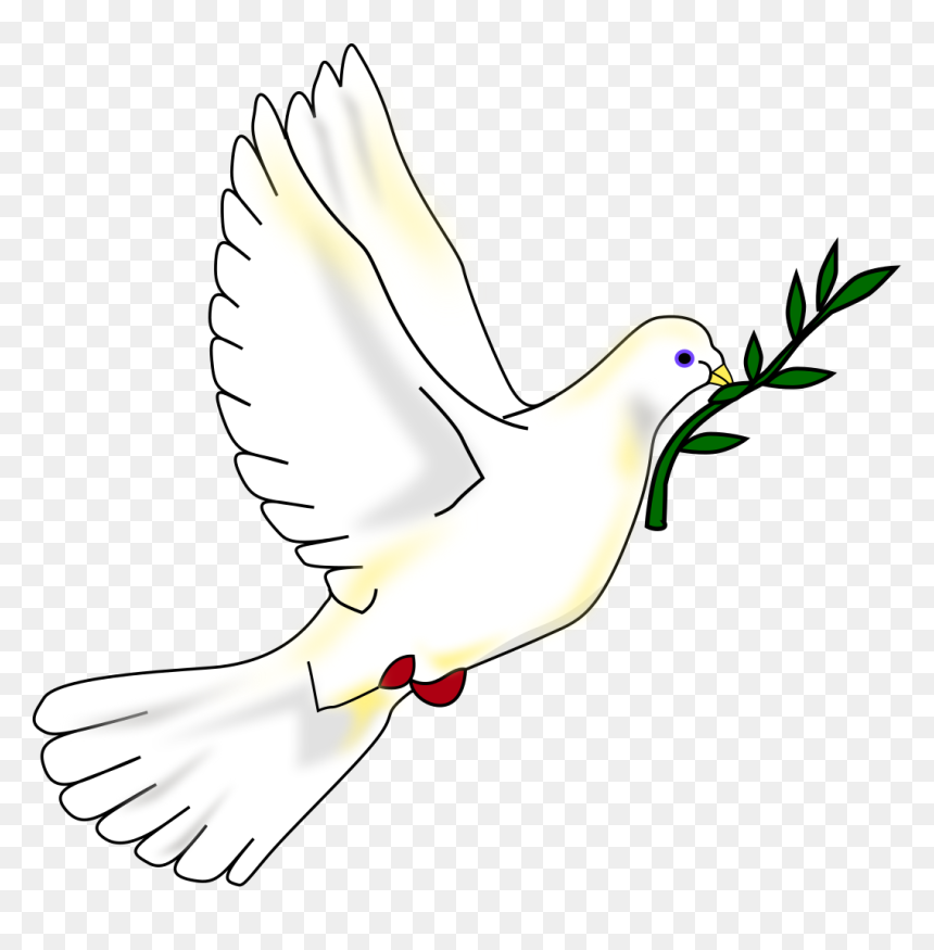 Dove With Olive Branch Png, Transparent Png - doves png