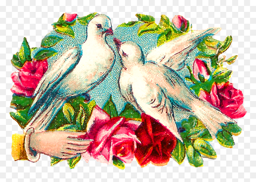 Transparent Doves Png - Clip Art, Png Download - doves png