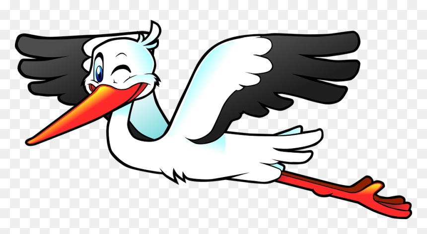 Flying Stork Clipart, HD Png Download - birds flying png