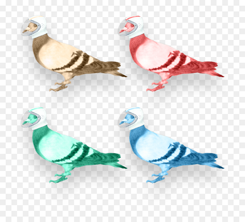 Your Digital Partners In Crime - Pigeons And Doves, HD Png Download - doves png