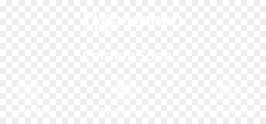 Welcome To Morpankh Website - Johns Hopkins Logo White, HD Png Download - mor pankh png