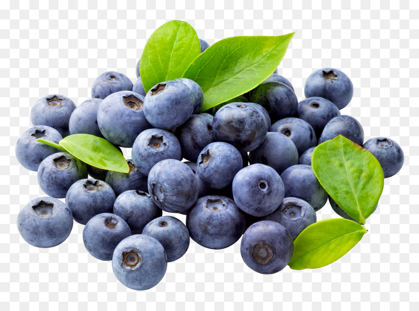 Transparent Background Blueberries Clipart, HD Png Download - blueberry png