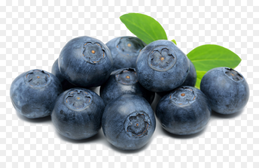 Blueberries Png Hd Image - Transparent Background Blueberries Clipart, Png Download - blueberry png