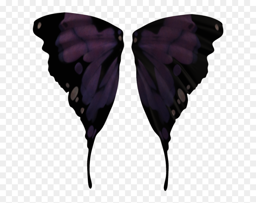 Fairy Wings 02 By Wolverine041269-d5uqj93 - Realistic Fairy Wings Transparent Background, HD Png Download - fairy wings png
