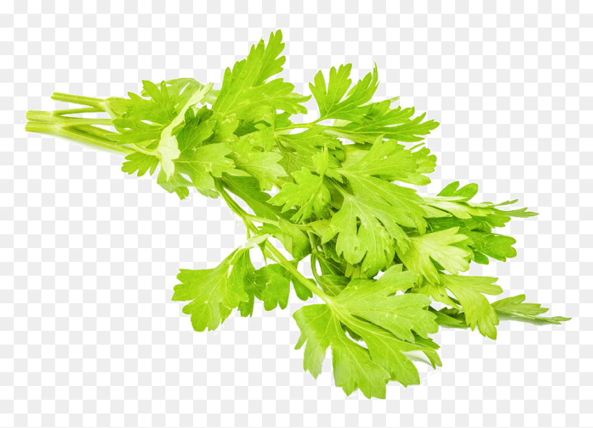 Parsley 1 Kg - Parsley, HD Png Download - walmart png