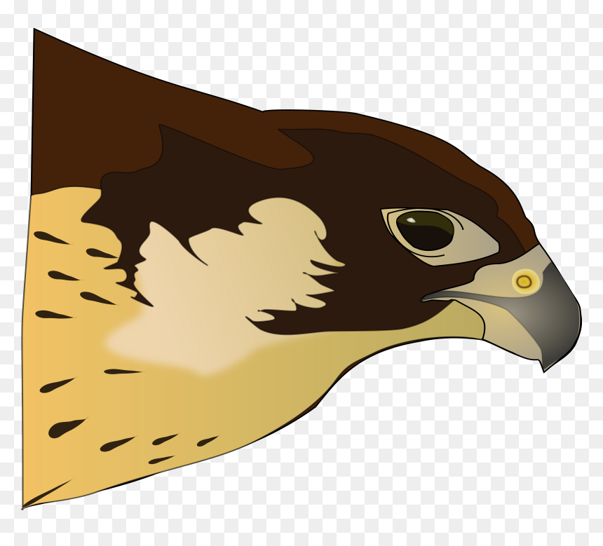 Halcón-hawk Clip Arts - Png Clipart Hawk, Transparent Png - hawk png