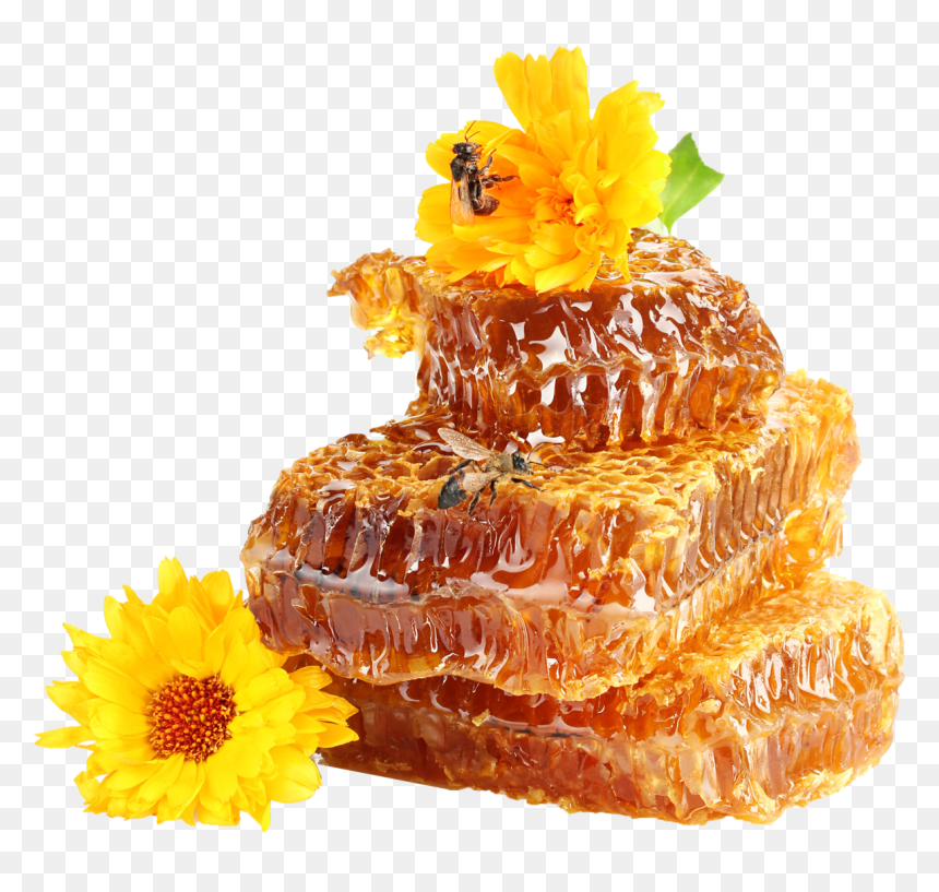 Honey Png Photo Background - Transparent Background Honey Png, Png Download - honey png