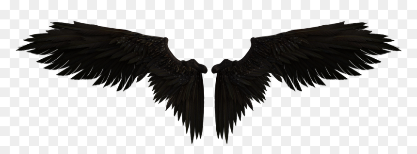 Transparent Angel Wings Symbol, HD Png Download - fairy wings png