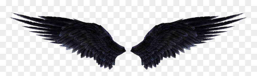 Thumb Image - Angel Wings Png Black, Transparent Png - wing png