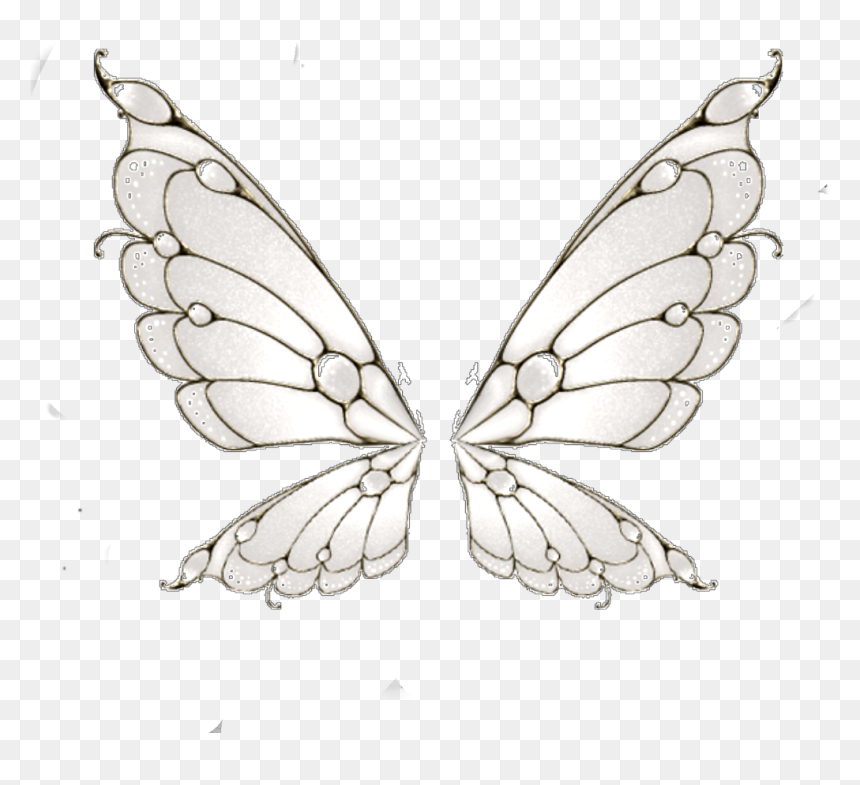 Fairywings Wings Fairies @laetitiadez - Swallowtail Butterfly, HD Png Download - fairy wings png
