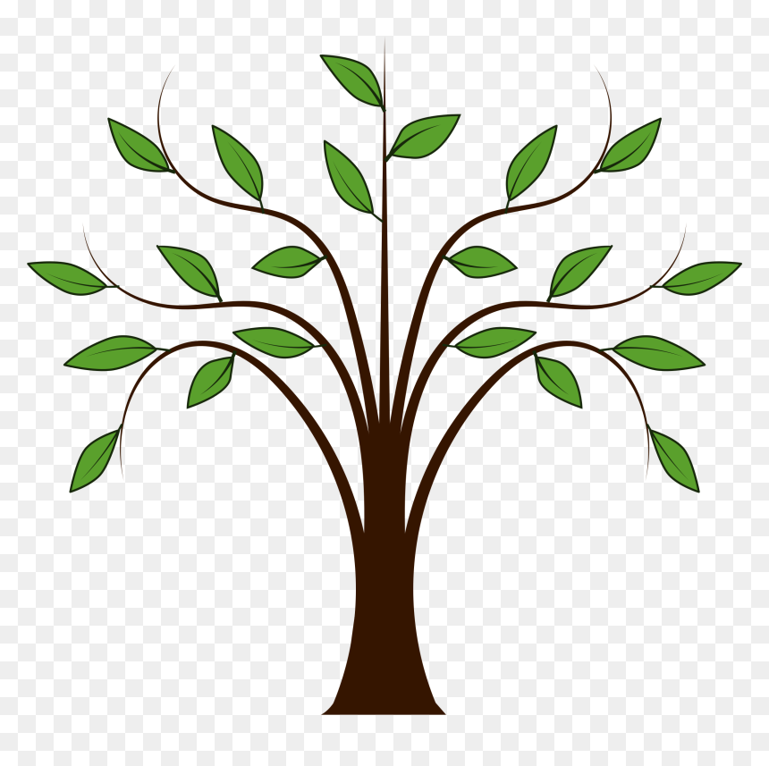 Tree Vector - Tree Free Clip Art, HD Png Download - tree vector png