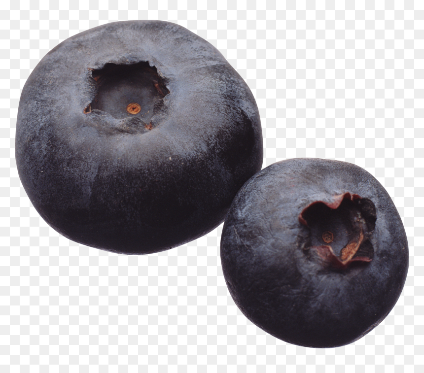 Blueberry - Blueberries, HD Png Download - blueberry png