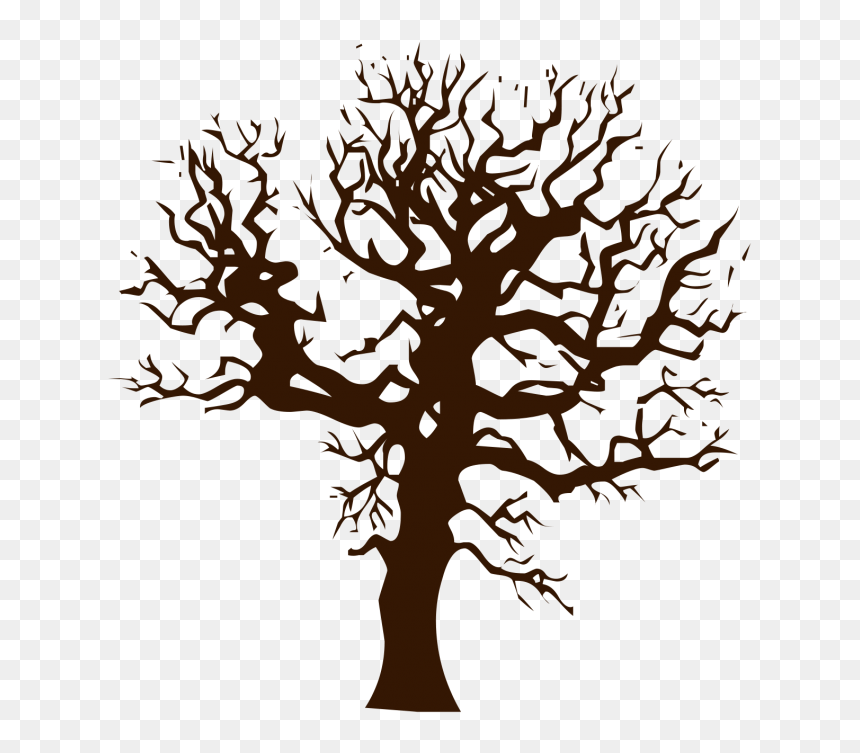 Transparent Tree Of Life Vector Png - Vans Old Skools Drawing, Png Download - tree vector png