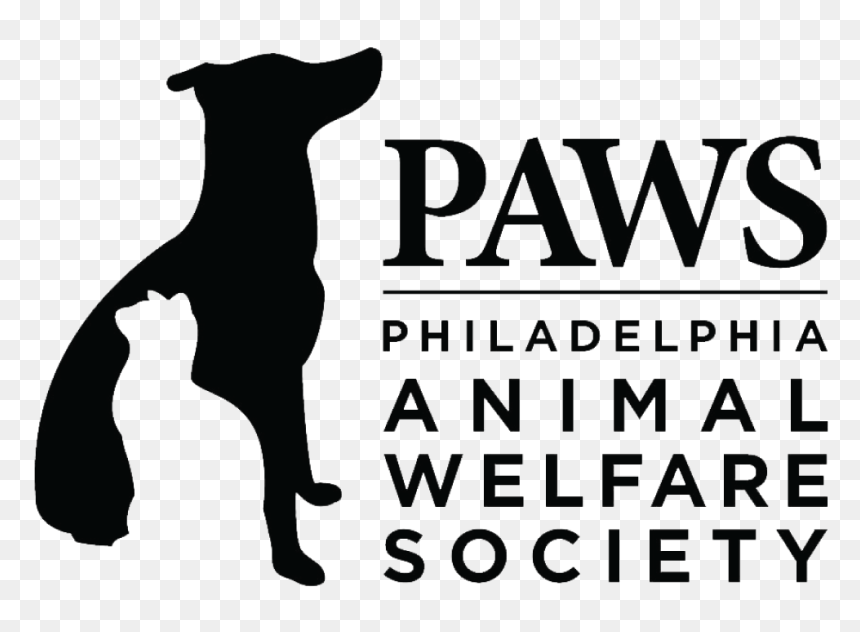 Dog Paw Png, Transparent Png - dog paw png