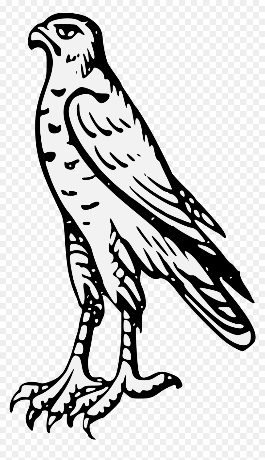 Dibujo De Un Halcón, HD Png Download - hawk png