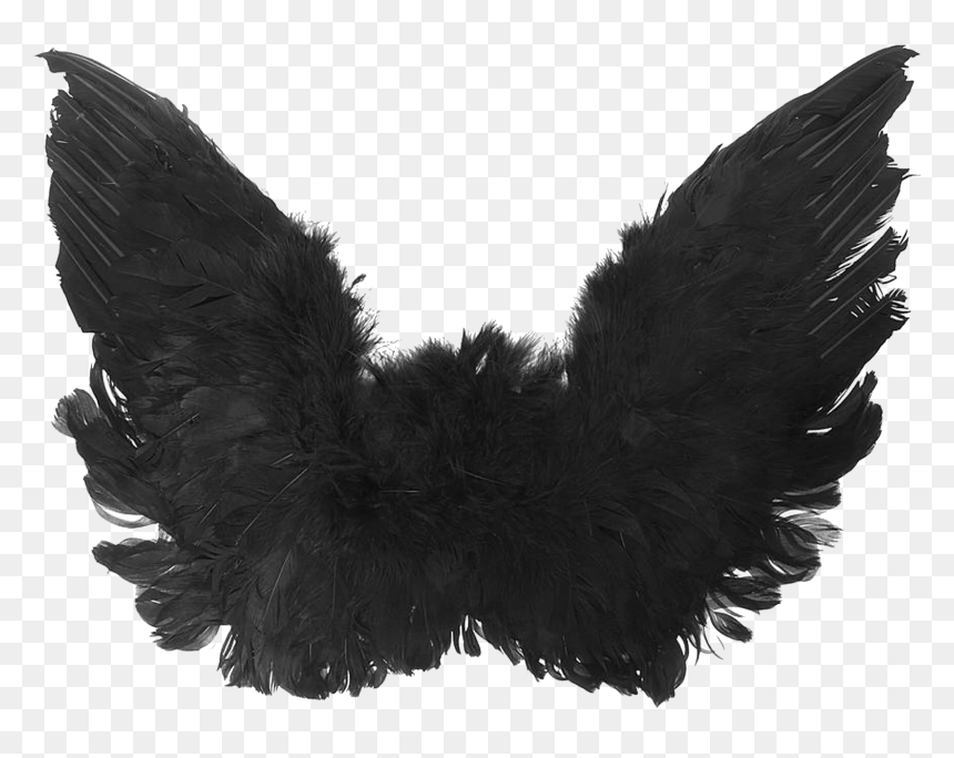 Black Small Wings Png, Transparent Png - wing png