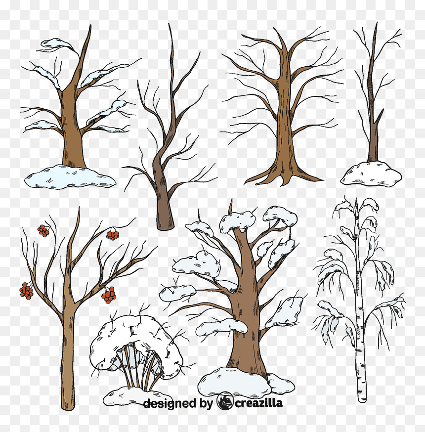 Set Of Winter Trees Vector - Creative Arts, HD Png Download - tree vector png