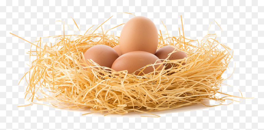 Brown Eggs Png, Transparent Png - eggs png