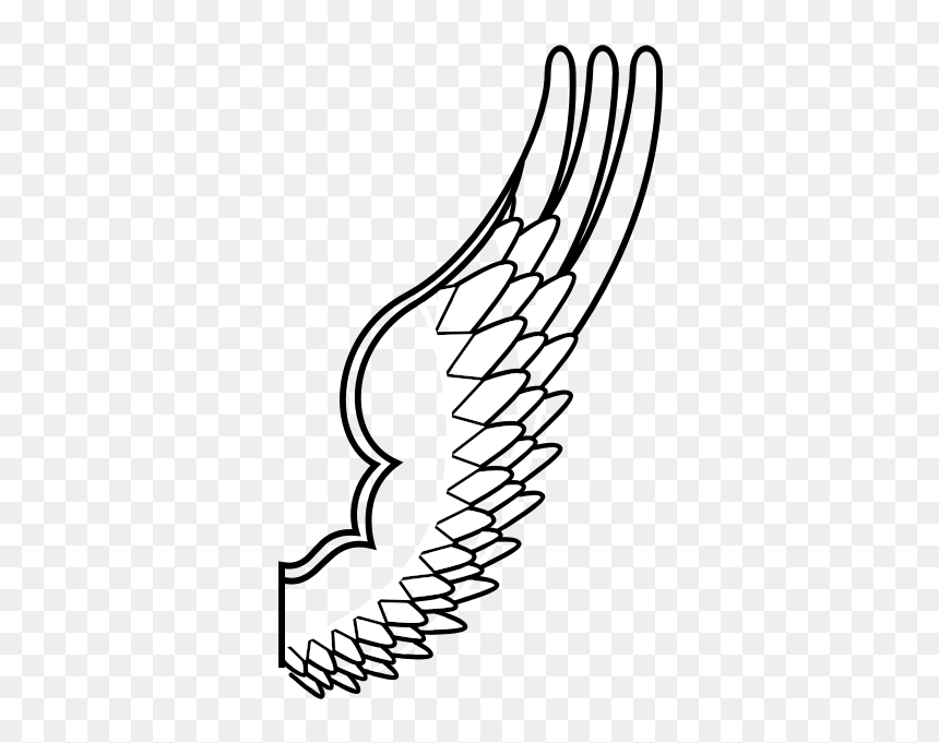 Drawing Of A Wing Of Mythological Bird, HD Png Download - wing png