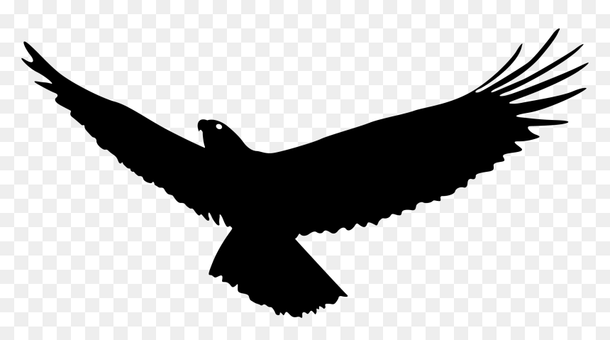 Bald Eagle Bird Flight - Bald Eagle Flying Silhouette, HD Png Download - bald eagle png