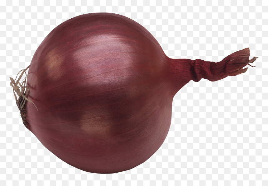 Onion Png Image - Фиолетовый Лук Png, Transparent Png - onion png