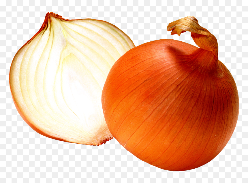 Open Onion - Onion Transparent Png, Png Download - onion png