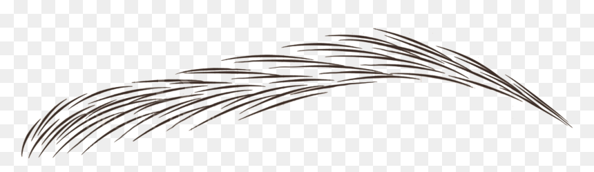 Eye Brows Png - Hair Stroke Pattern Brows, Transparent Png - eyebrows png