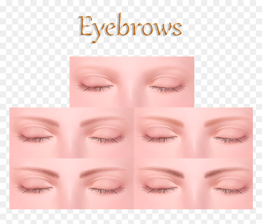 Eyebrow Png Download - Eyelash Extensions, Transparent Png - eyebrow png