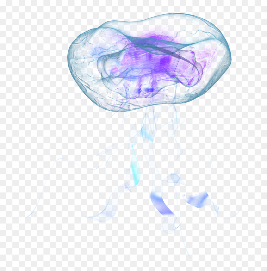 Jellyfish Png, Transparent Png - jellyfish png