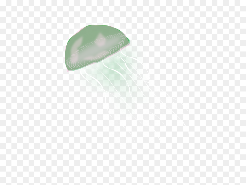 Free Png Jellyfish - Jellyfish, Transparent Png - jellyfish png