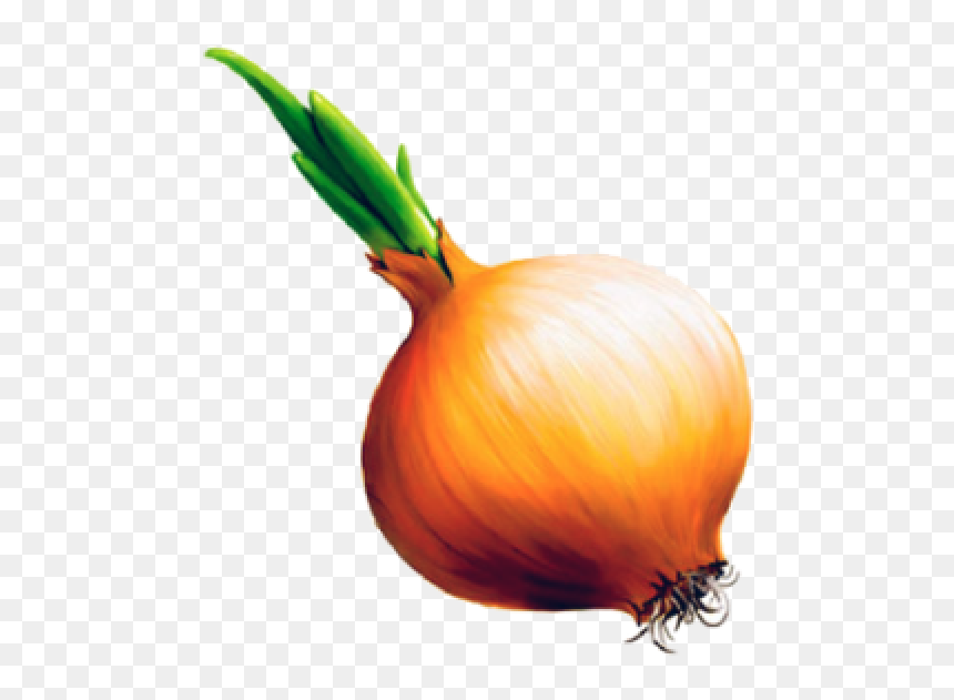 Onion Png Free Download - Onion Png, Transparent Png - onion png