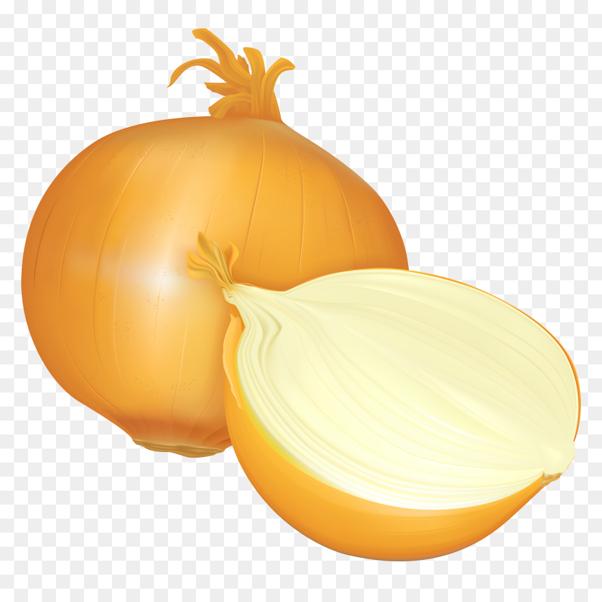 Onion Png Clipart - Onion Clipart Png, Transparent Png - onion png