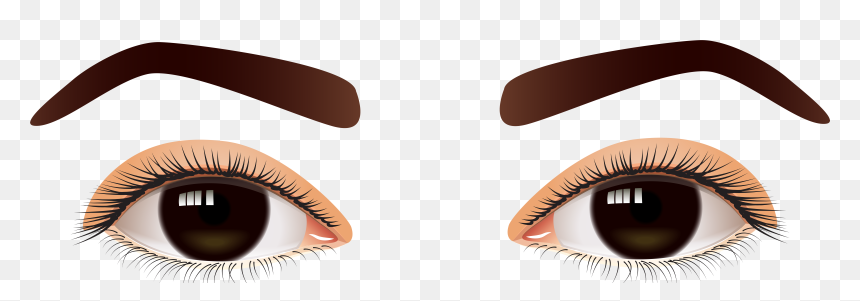 Female Brown Eyes Png Clip Art - Transparent Background Human Eyes Png, Png Download - eyebrows png