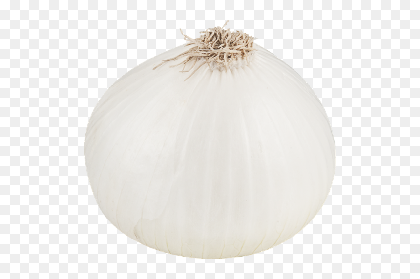 Thumb Image - White Onion Transparent Background, HD Png Download - onion png