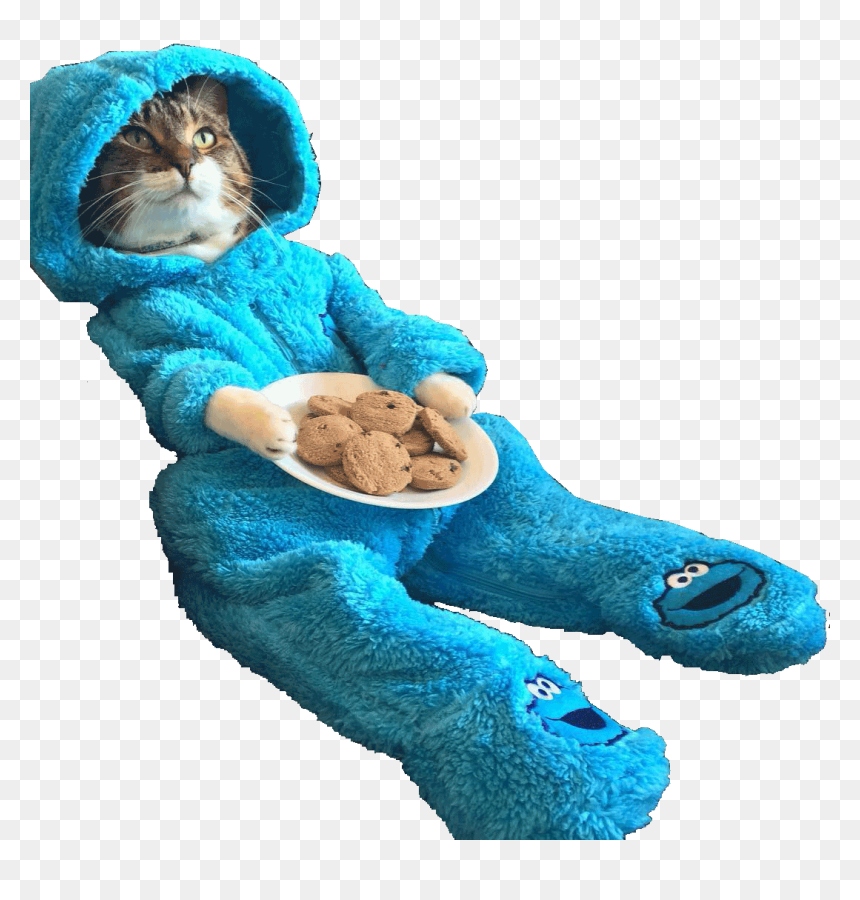 Transparent Plate Of Cookies Png - Cookie Monster Cat, Png Download - cookie monster png