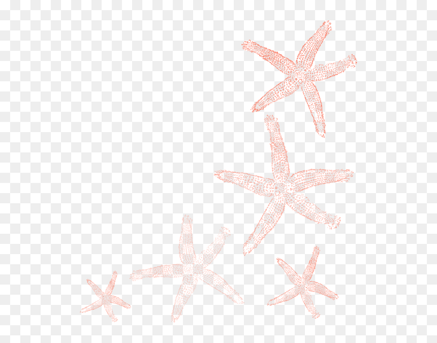 Starfish Clip Art Color - Fish Clip Art, HD Png Download - coral png