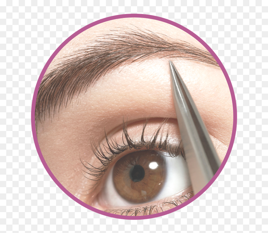 Copy Of Social Media Untitled Design - Eyelash Extensions, HD Png Download - eyebrows png