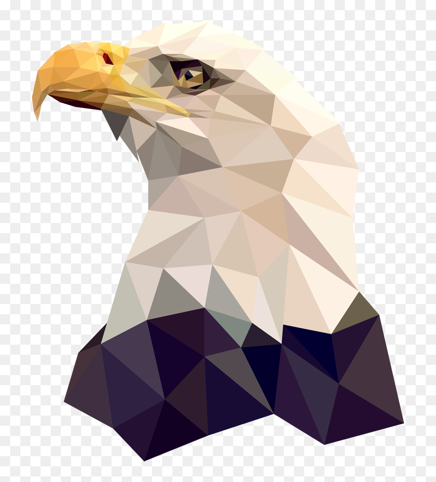 Geo Bald Eagle, HD Png Download - bald eagle png