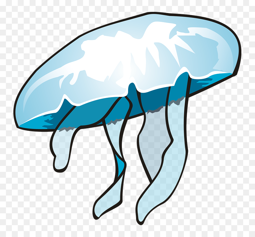 Jellyfish Ocean Clip Art - Dikya Clipart, HD Png Download - jellyfish png