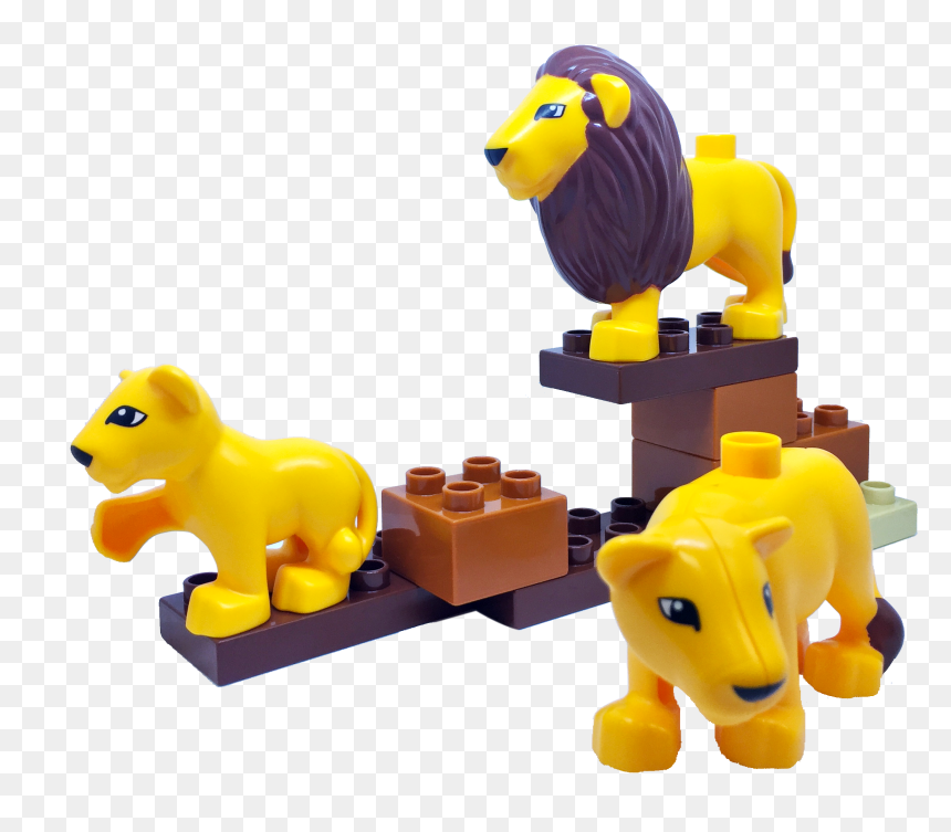 Transparent Rainforest Animals Clipart - Portable Network Graphics, HD Png Download - animals png