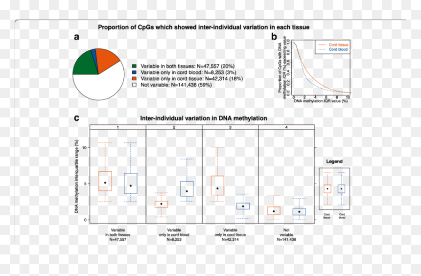 Diagram, HD Png Download - dripping blood png