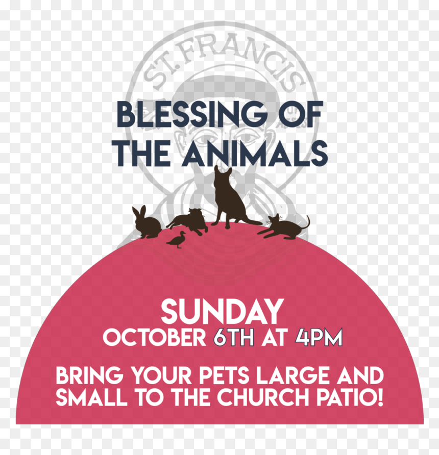 Blessing Animals - Dire Straits On The Night, HD Png Download - animals png