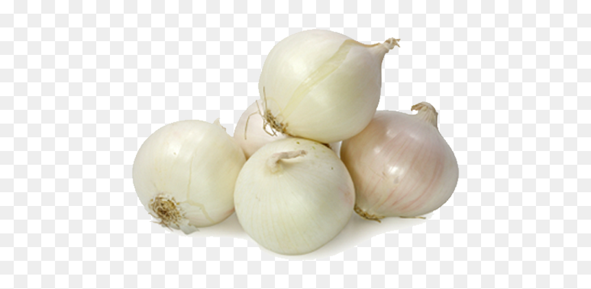 Thumb Image - White Onion Transparent Background, HD Png Download - onion png
