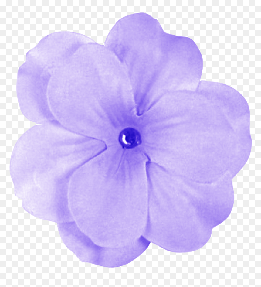 Flower Transparent Purple, Picture - Purple Flower Transparent Background, HD Png Download - purple flowers png