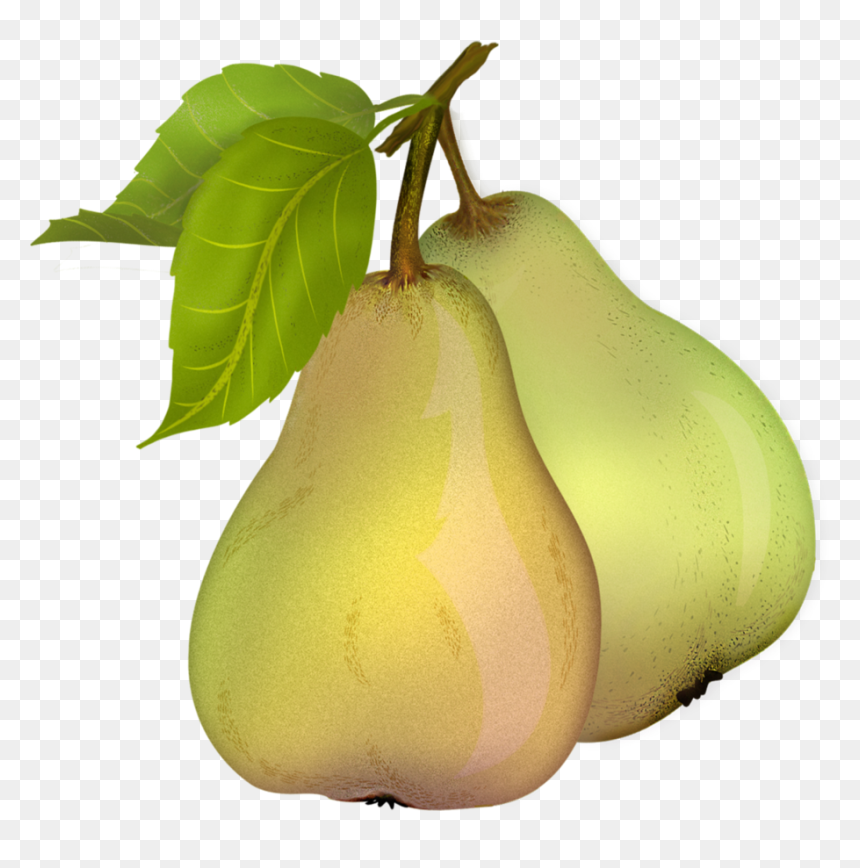 Pear Free Download Png - Transparent Background Pears Clipart, Png Download - pear png