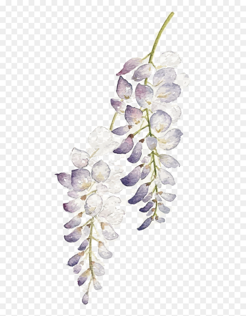 Watercolor Flower Purple Png, Transparent Png - purple flowers png