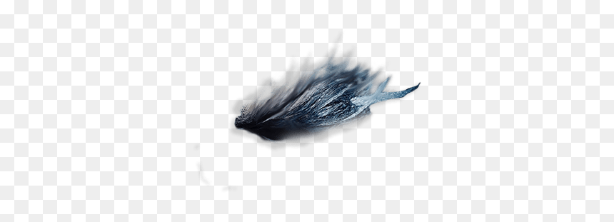 Belted Kingfisher, HD Png Download - eyebrows png