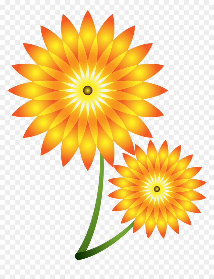 Kwiat Png, Transparent Png - png flowers vectors